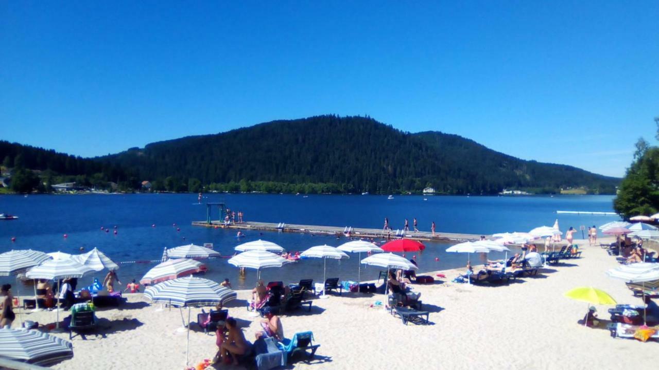 Chalet Les Camelias Spa Gerardmer Ngoại thất bức ảnh