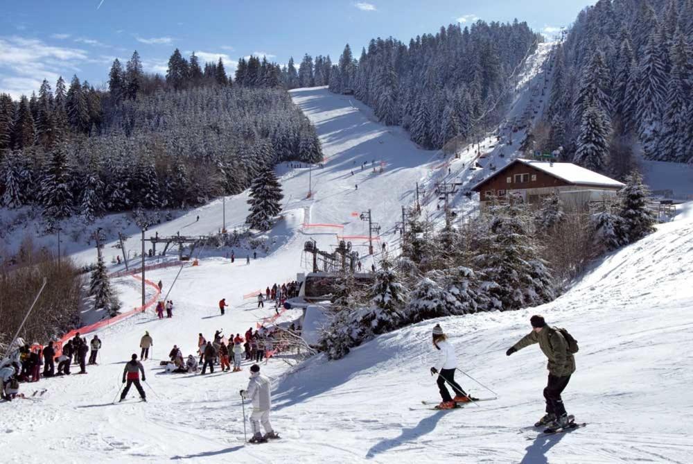 Chalet Les Camelias Spa Gerardmer Ngoại thất bức ảnh